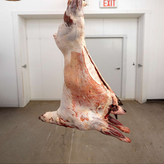 Whole Lamb